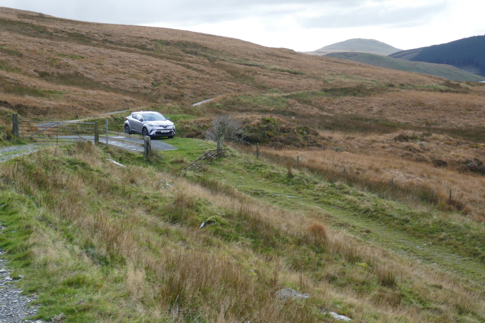 RachelSeabrook.net | Wild Walking | Cwm Hengwm | pic01